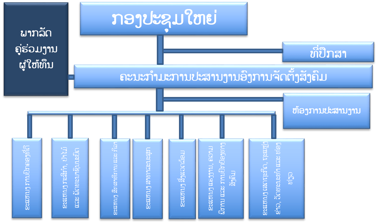 A diagram showing the organizational structure of the Lao CSOs Coordination Committee